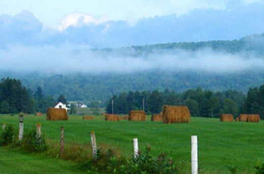 Chemins de campagne dans Lanaudière