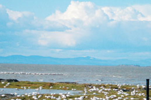 L’Île aux Grues, l’ensorceleuse