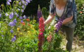 15 gestes simples pour un beau jardin
