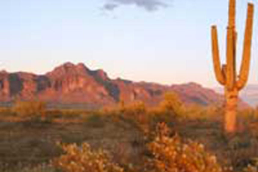 L’Arizona: chaleur, westerns, arts et spas!