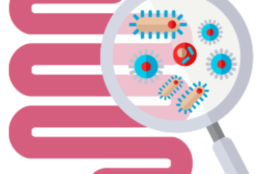 Cultiver votre flore intestinale