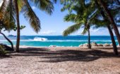 Antigua: 365 jours de plage!