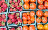Consommer autrement au Festival végane de Montréal