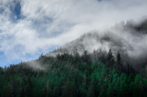 Haida Gwaii: des airs de bout du monde