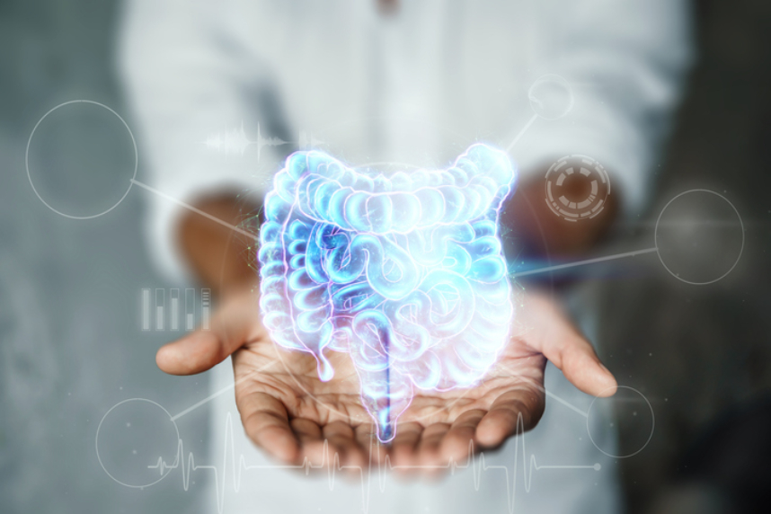 Les effets du vieillissement sur le microbiome intestinal décryptés